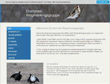 Tablet Screenshot of drammen-ringmerkingsgruppe.no